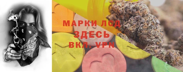 мяу мяу мука Верея